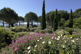 mediterranean garden landscaping