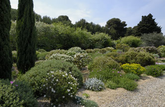 Mediterranean garden design