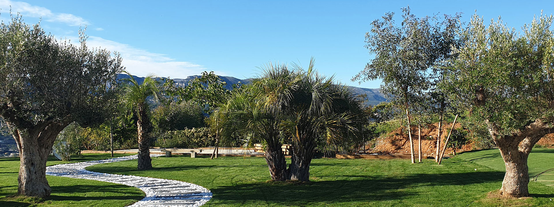 Logiciel amenagement paysager : application pour amenager votre jardin