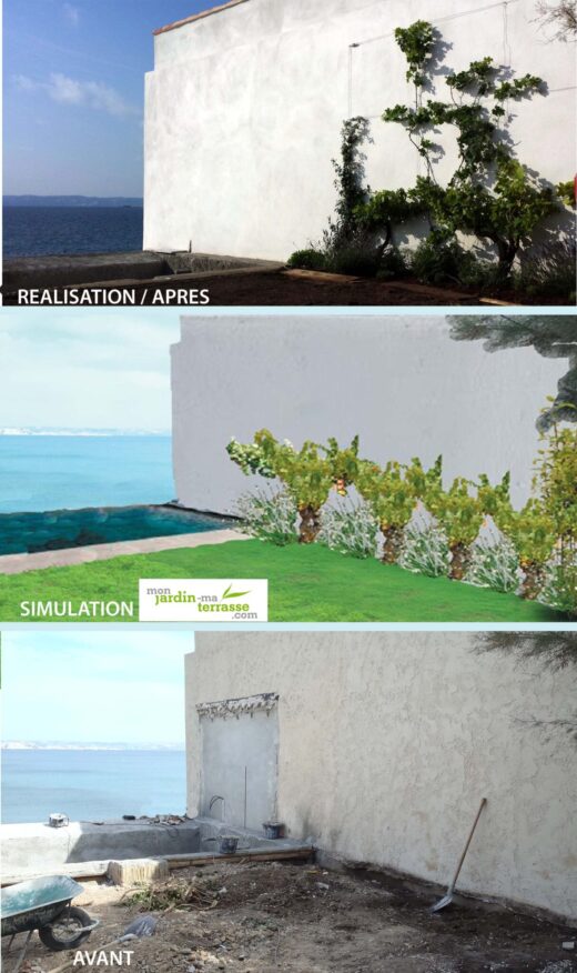 Habiller&#x20;un&#x20;mur&#x20;avec&#x20;des&#x20;plantes&#x20;grimpantes&#x20;r&#x00E9;sistantes&#x20;aux&#x20;embruns&#x20;en&#x20;bord&#x20;de&#x20;mer