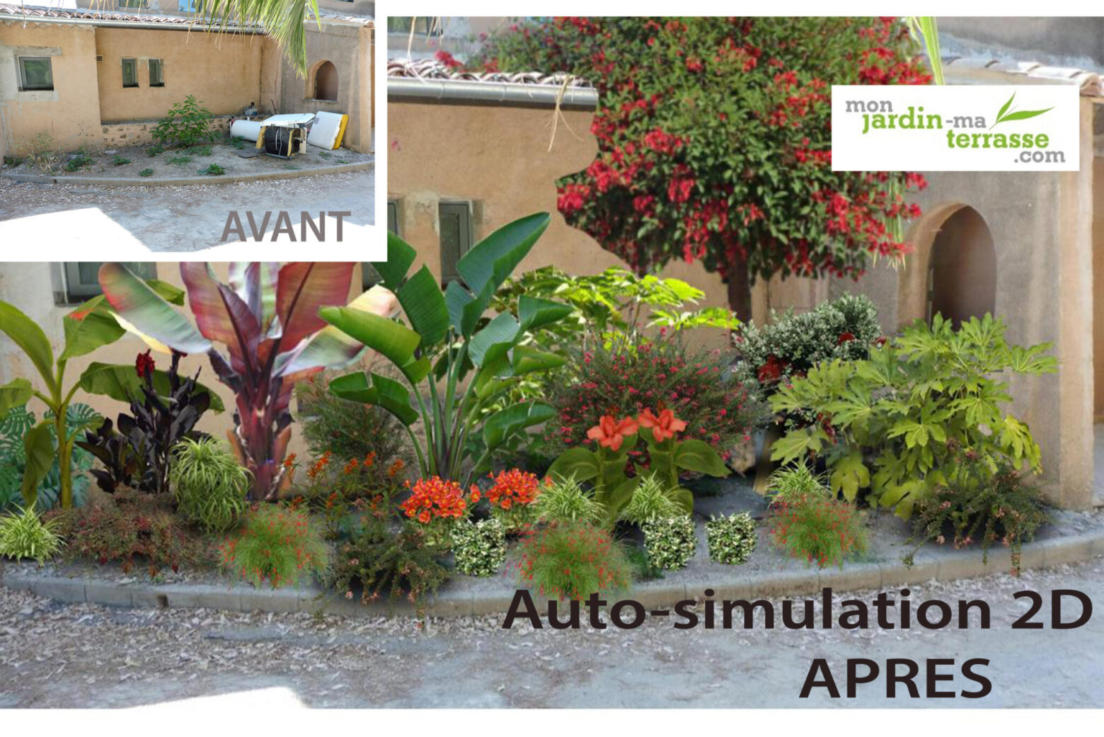 Créer un jardin exotique sous climat mediterranéen - Mon Jardin Ma Terrasse