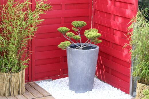 Aménager un Jardin Japonais