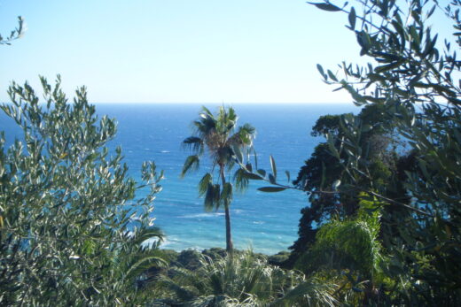 Aménager un jardin de bord de mer résistant aux embruns