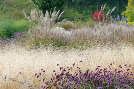 Aménager un jardin au naturel, les règles