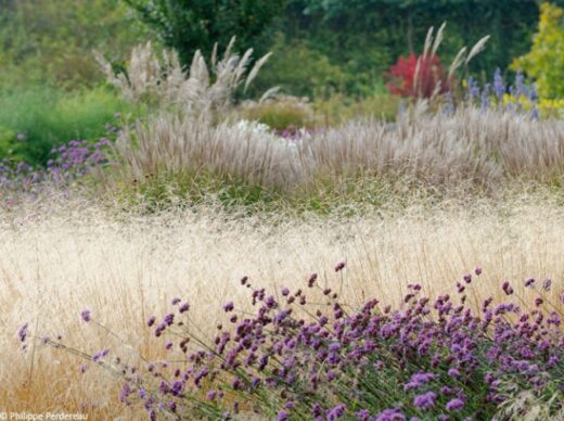 Am&#x00E9;nager&#x20;un&#x20;jardin&#x20;au&#x20;naturel,&#x20;les&#x20;r&#x00E8;gles