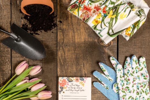 5&#x20;&#x00E9;tapes&#x20;pour&#x20;concevoir&#x20;un&#x20;jardin&#x20;sur&#x20;mesure&#x20;avec&#x20;notre&#x20;solution&#x20;d&amp;&#x23;8217&#x3B;am&#x00E9;nagement&#x20;virtuel