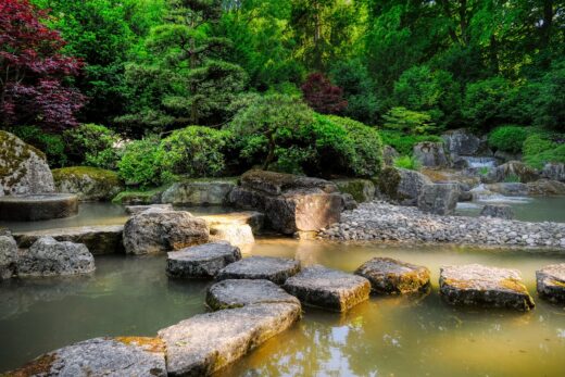 Comment aménager son jardin virtuellement grâce à notre logiciel innovant ?